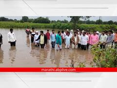 Aurangabad: औरंगाबादच्या वजनापूरमध्ये ढगफुटीसदृश पाऊस, शेताला तळ्याचे स्वरूप