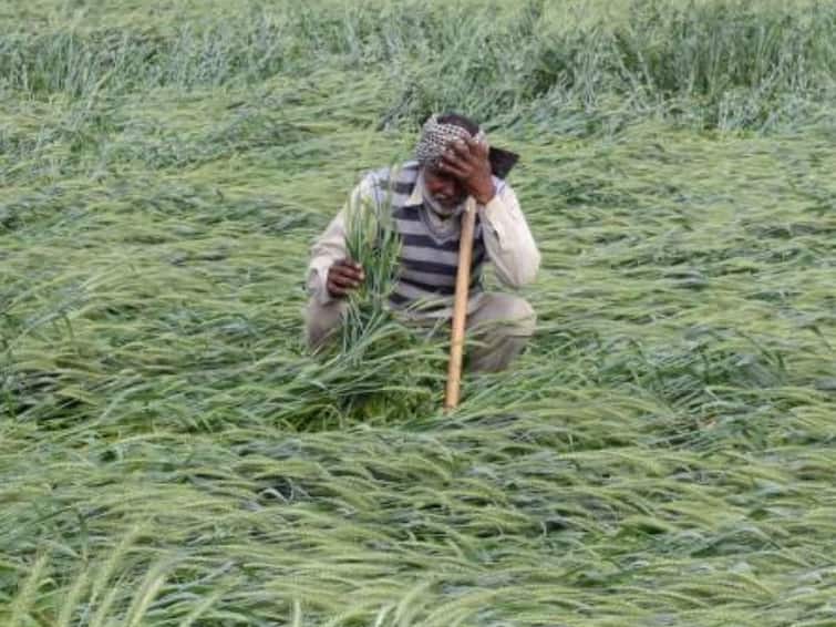 State govts Annouce compensation to farmers for Crop Damage in rain and hailstorm Application Process and Details Crop Loss Compensation: बारिश-ओलावृष्टि से हुए फसल नुकसान का मुआवजा देंगी ये सरकारें, किसान जान लें पूरी प्रक्रिया