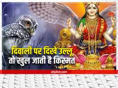 Diwali 2022: दिवाली पर दिखे लक्ष्मी जी का वाहन उल्लू तो मिलते हैं ये संकेत