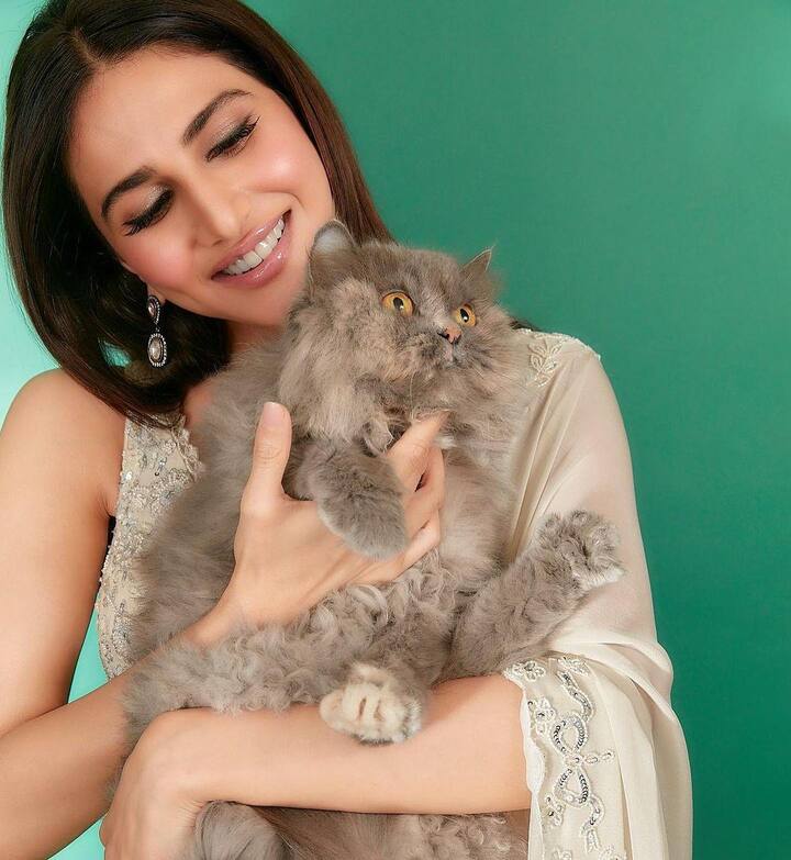 दिवाली सेलिब्रेशन के दौरान की वाणी कपूर की इन फोटो में आप देख सकते हैं कि वह अपनी पालतू बिल्ली को गोद लिए दिख रही हैं.