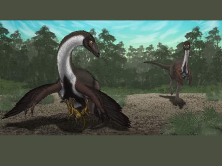 Dinosaurus mirip burung unta dari Mississippi memiliki berat lebih dari 800 kg, menurut penelitian