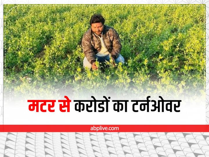 Ajit Pratap of Uttar Pradesh leave Germany and Earn upto 5 crores from Green pea Cultivation Success Story: जर्मनी की नौकरी छोड़कर भारत में उगाई मटर, खेती के दमपर बनाया करोड़ों का टर्नओवर
