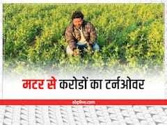 जर्मनी की नौकरी छोड़कर भारत में उगाई मटर, खेती के दमपर बनाया करोड़ों का टर्नओवर