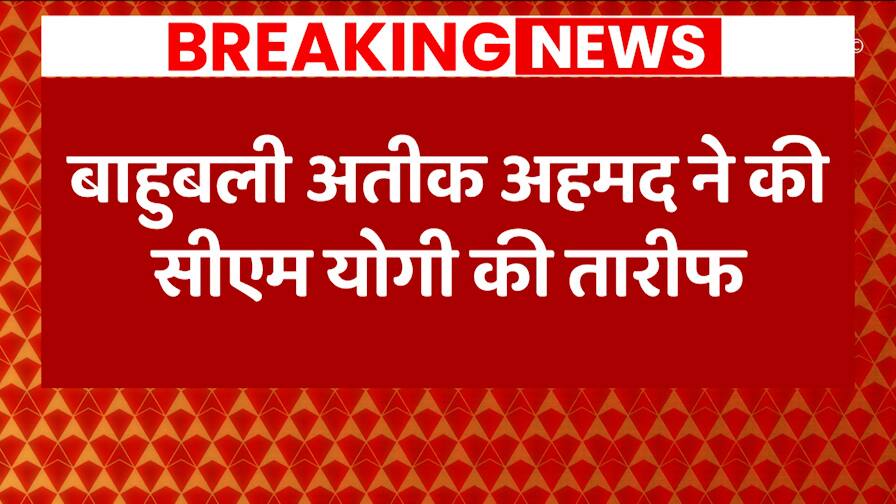 ABP News ABP News