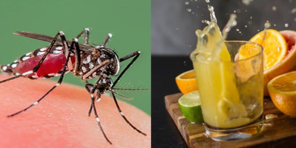 Dengue patient in UP dies after allegedly given Mosambi juice instead of plasma Dengue Patient Death: প্লাজমার বদলে লেবুর রস প্রয়োগ! মৃত্যু ডেঙ্গি আক্রান্তের