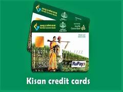 Pashu Kisan Credit Card: क्‍या है पशु किसान क्रेडिट कार्ड स्‍कीम, देखें क्या है फायदे, ऐसे करें ऑनलाइन आवेदन