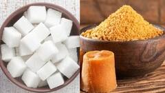 Jaggery or Sugar : ਕੀ ਤੁਹਾਨੂੰ ਪਤਾ ਸਿਹਤ ਲਈ ਗੁੜ ਜ਼ਿਆਦਾ ਲਾਭਕਾਰੀ ਹੈ ਜਾਂ ਖੰਡ, ਆਓ ਜਾਣੀਏ