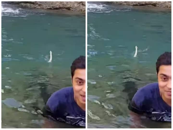 Video: पहाड़ों पर मस्ती पड़ सकती है भारी, वीडियो देख उड़ जाएंगे होश snake behind man in water of spring video goes viral on social media Video: पहाड़ों पर मस्ती पड़ सकती है भारी, वीडियो देख उड़ जाएंगे होश