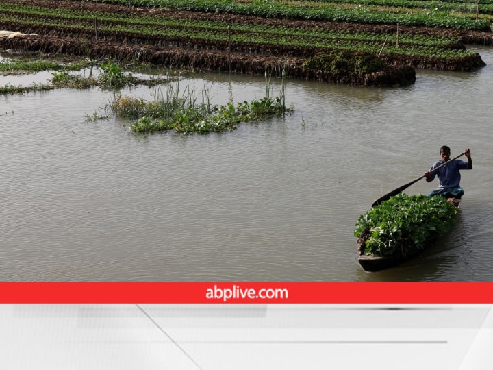 Climate Change: पानी पर तैरते खेत! 200 साल पहले वरदान थी ये तकनीक, आज बन चुकी है किसानों की मजबूरी