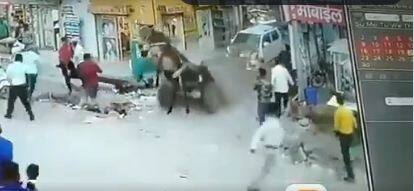 the donkeys life was saved due to the seat belt see the viral video Watch: ਸੀਟ ਬੈਲਟ ਕਾਰਨ ਬਚੀ ਗਧੇ ਦੀ ਜਾਨ…, ਦੇਖੋ ਵਾਇਰਲ ਵੀਡੀਓ