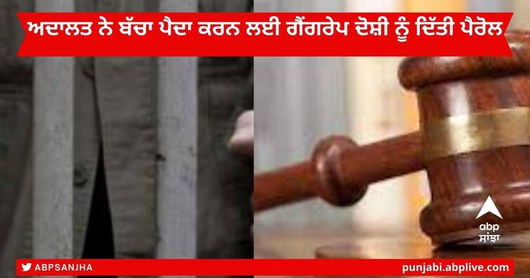 Rajasthan News : Rajasthan High Court grants 15-day parole to Rape convict to get Wife Pregnant Rajasthan News : ਅਦਾਲਤ ਨੇ ਬੱਚਾ ਪੈਦਾ ਕਰਨ ਲਈ ਗੈਂਗਰੇਪ ਦੇ ਦੋਸ਼ੀ ਨੂੰ ਦਿੱਤੀ 15 ਦਿਨਾਂ ਦੀ ਪੈਰੋਲ, 2 ਸਾਲ ਤੋਂ ਜੇਲ੍ਹ 'ਚ ਸੀ ਬੰਦ 