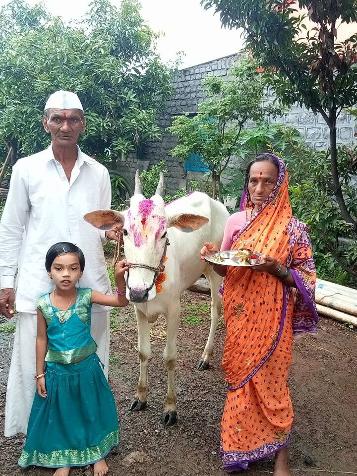 शिवाय ग्रामीण भागातदेखील शेतकरी बांधव दिवाळीसाठी उत्सुक असल्याचं चित्र आहे.