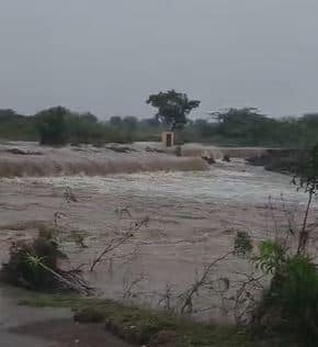 राज्यात परतीच्या पावसामुळं शेतीचं मोठं नुकसान