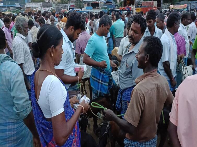 Diwali: Goats sold at Rs 6 crore in gingee weekly Goat Market TNN 4 மணிநேரத்தில் ரூ.6 கோடிக்கு ஆடுகள் விற்பனை.. களைகட்டிய தீபாவளி