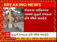 ભાવનગર જિલ્લાના ગ્રામ્ય વિસ્તારમાં ફરી સામે આવ્યો ઢોરનો આતંક, વૃધ્દ્રને રખડતા ઢોરે લીધો અડફેટે