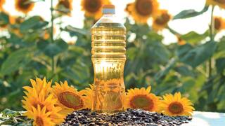Sunflower Oil : ਸਕਿਨ ਲਈ ਵਰਦਾਨ ਸੂਰਜਮੁਖੀ ਦਾ ਤੇਲ, ਜਾਣੋ ਕਿਹੜੀਆਂ-ਕਿਹੜੀਆਂ ਸਮੱਸਿਆਵਾਂ 'ਚ ਆਉਂਦਾ ਕੰਮ