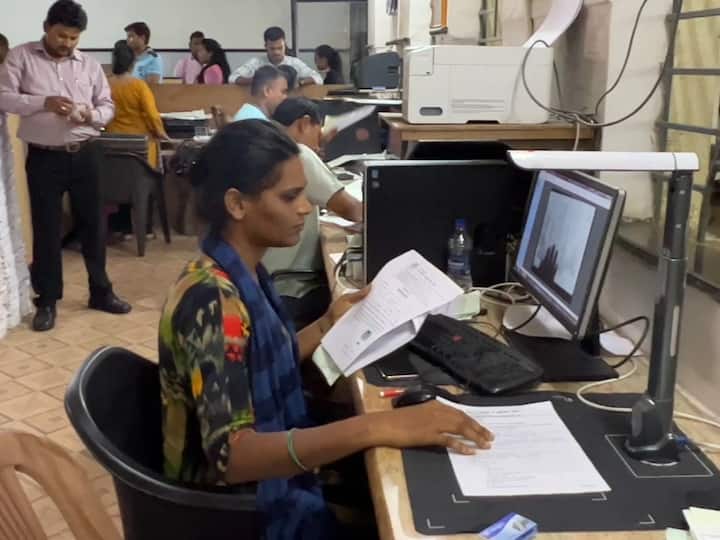 आलिया पवार हिने मायक्रोबायोलॉजी विषयात पदवी घेतली आहे. पण ही पदवी घेऊनही तिला त्याचा कोणताही उपयोग झाला नाही.