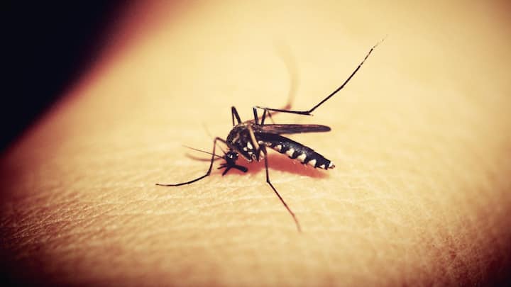 কালীপুজোর আগে ডেঙ্গি পরিস্থিতি আরও ভয়ঙ্কর। স্বাস্থ্য দফতরের রিপোর্ট অনুযায়ী, গত এক সপ্তাহে রাজ্যে ডেঙ্গি আক্রান্ত হয়েছেন ৬ হাজার ৬৮০ জন। চলতি বছরে ডেঙ্গি আক্রান্তের সংখ্যা ৩৭ হাজার ছুঁইছুঁই।