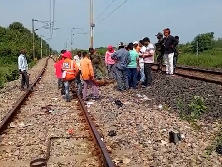 Chandrapur Tiger Death  A tigress died in a train collision in Chandrapur three tigers killed in two months Chandrapur Tiger Death : चंद्रपुरात रेल्वेच्या धडकेत वाघिणीचा मृत्यू, दोन महिन्यात तीन वाघांचे बळी