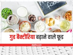 अक्सर पेट खराब रहता है तो समझें बिगड़ रहा है गुड बैक्टीरिया का बैलेंस, ऐसे ठीक करें