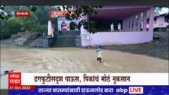 Hingoli Monsoon Update : हिंगोलीत ढगफुटीसदृश पाऊस, आसना नदीला पूर, पिकांचं मोठं नुकसान