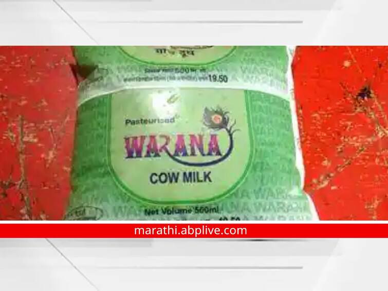 Increase in milk purchase rate from Warana implementation of new rate from today Warana Milk : वारणाकडूनही दूध खरेदी दरात वाढ, शेतकऱ्यांना मोठा दिलासा; आजपासून नव्या दराची अंमलबजावणी 