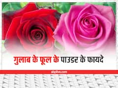 चेहरे पर गुलाबी निखार पाने के लिए लगाएं गुलाब के फूलों से तैयार पाउडर