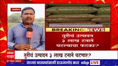 Diwali नंतर महागाईचा आणखी एक झटका? तूरडाळ महागण्याची शक्यता,उत्पादन ३ लाख टनाने घटल्याचा फटका?
