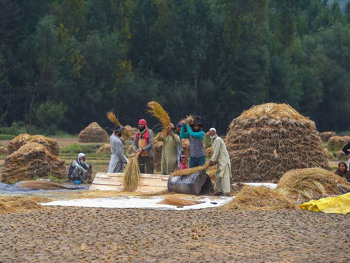 pm kisan beneficiary status check with registered mobile number instead aadhar card PM Kisan Yojana: పీఎం కిసాన్‌ డబ్బులు రాలేదా! ఇకపై ఆధార్‌ కాదు మొబైల్‌తో తనిఖీ చేయండి!