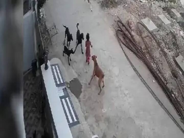 Khargone News: खरगोन में कुत्ते ने किया 5 साल की मासूम बच्ची पर हमला, इलाज के दौरान हुई मौत