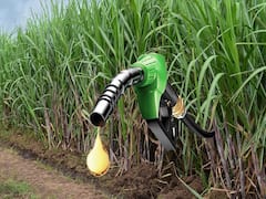 Green Fuel एथेनॉल को बढ़ावा देगा झारखंड, प्रॉडक्शन यूनिट के लिए 50 करोड़ तक सब्सिडी की तैयारी