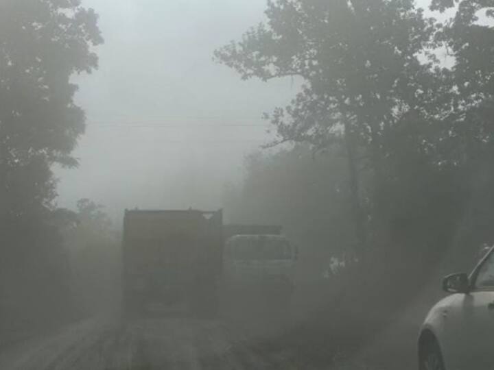 Singrauli Madhya Pradesh People facing health problems due to coal transport and coal ash ANN Singrauli News: कोयले की काली राख ने किया जीना मुहाल, बदत्तर जिंदगी जीने को मजबूर इलाके के लोग