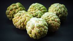 Custard Apple: ঝুঁকি কমায় ক্যানসারের, আতার পুষ্টিগুণ সম্পর্কে রইল বিস্তারিত তথ্য