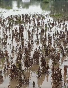 Photo : परतीच्या पावसाचा मराठवाड्याला तडाखा