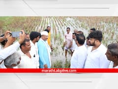 Abdul Sattar: कृषिमंत्र्यांकडून मराठवाड्यातील नुकसानग्रस्त भागाची पाहणी; पंचनाम्यानंतर 15 दिवसांत मदत