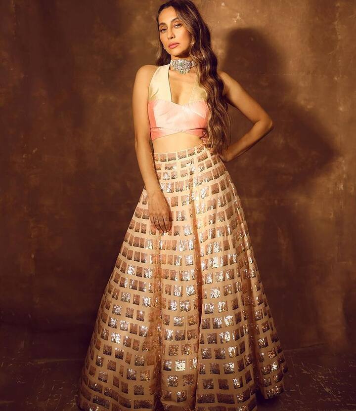 અનુષા દાંડેકરે સોશિયલ મીડિયા પર દિવાળી લૂકની તસવીરો શેર કરી છે.