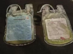 রাজ্যে ডেঙ্গি পরিস্থিতি ভয়ঙ্কর, কলকাতার ব্লাড ব্যাঙ্কে প্লেটলেটের আকাল