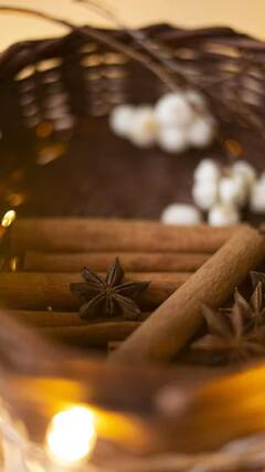 Health Tips : कफ, सर्दी, खोकल्यावर मात करायचीय? दालतचिनीची 'असा' वापर करा