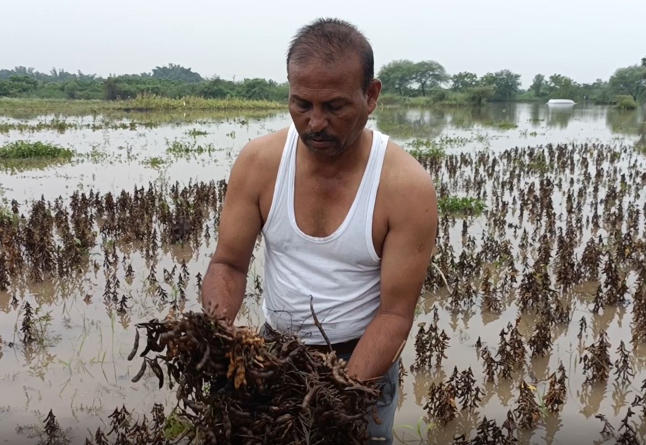 Maharashtra Rain : परतीच्या पावसाचा मराठवाड्याला तडाखा, पिकांचं मोठं नुकसान, दिवाळी सणावर विरजण