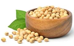 Soyabean Benefits: સોયાબીનના છે ગજબ ફાયદા, આ બીમારીમાં છે રામબાણ ઇલાજ