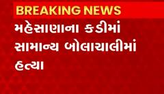 મહેસાણાઃ સામાન્ય બોલાચાલીમાં ખેલાયો ખૂની ખેલ, એક વ્યક્તિની હત્યા