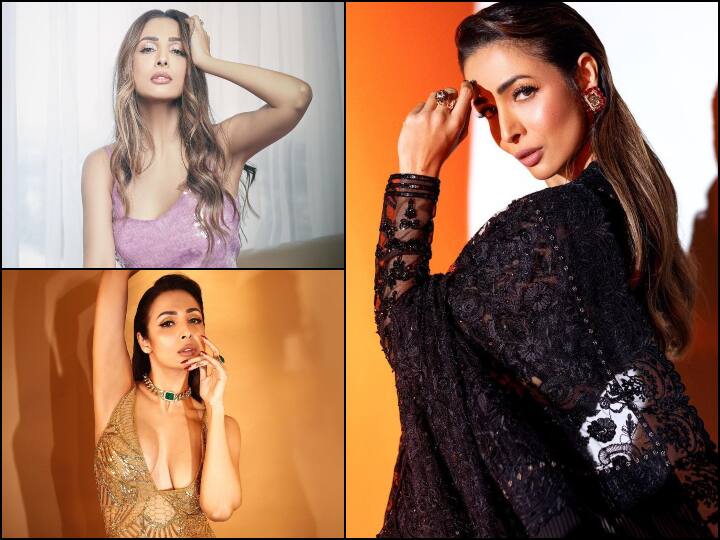 Happy Birthday Malaika Arora Know about the unknown Facts and Total Net Worth of Actress Happy Birthday Malaika Arora: एक्ट्रेस मलाइका अरोड़ा हैं करोड़ों की मालकिन, नेटवर्थ जान रह जाएंगे दंग