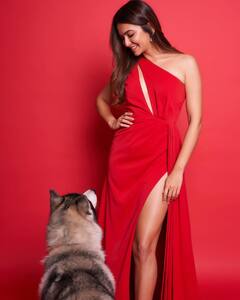 PHOTO: अभिनेत्री क्रिती खरबंदाच्या सौंदर्याने चाहत्यांना भुरळ; साडीत दिसतेय खूपच सुंदर!