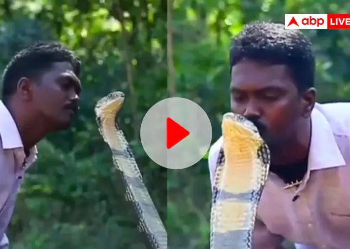 Man kisses King Cobra snake shocking video viral on social media ਕਿੰਗ ਕੋਬਰਾ ਨੂੰ ਚੁੰਮਦੇ ਹੋਏ ਸਖਸ਼ ਦੀ ਵੀਡੀਓ ਵਾਇਰਲ, ਲੋਕਾਂ ਕਿਹਾ- ਜਾਨਲੇਵਾ ਇਹ Kiss