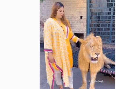 womes comforts lion video becomes viral Video : சிங்கத்தையே தடவி கொடுக்குறாங்கப்பா..  பெண்ணுடன் விளையாடும் சிங்கம்.. வீடியோ