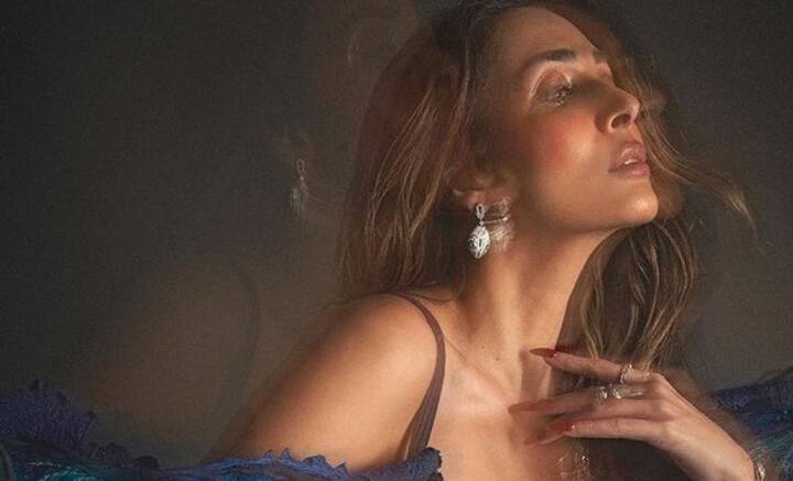 কেরিয়ার শুরু করেছিলেন ভিডিও জকি হিসেবে। নয়ের দশকে একাধিক মিউজিক ভিডিও, বিজ্ঞাপনেও দেখা গিয়েছে। তবে ‘দিল সে’ ছবিতে ‘ছাঁইয়া ছাঁইয়া’ গানটিই ঘরে ঘরে পরিচিতি গড়ে তোলে মালাইকার।