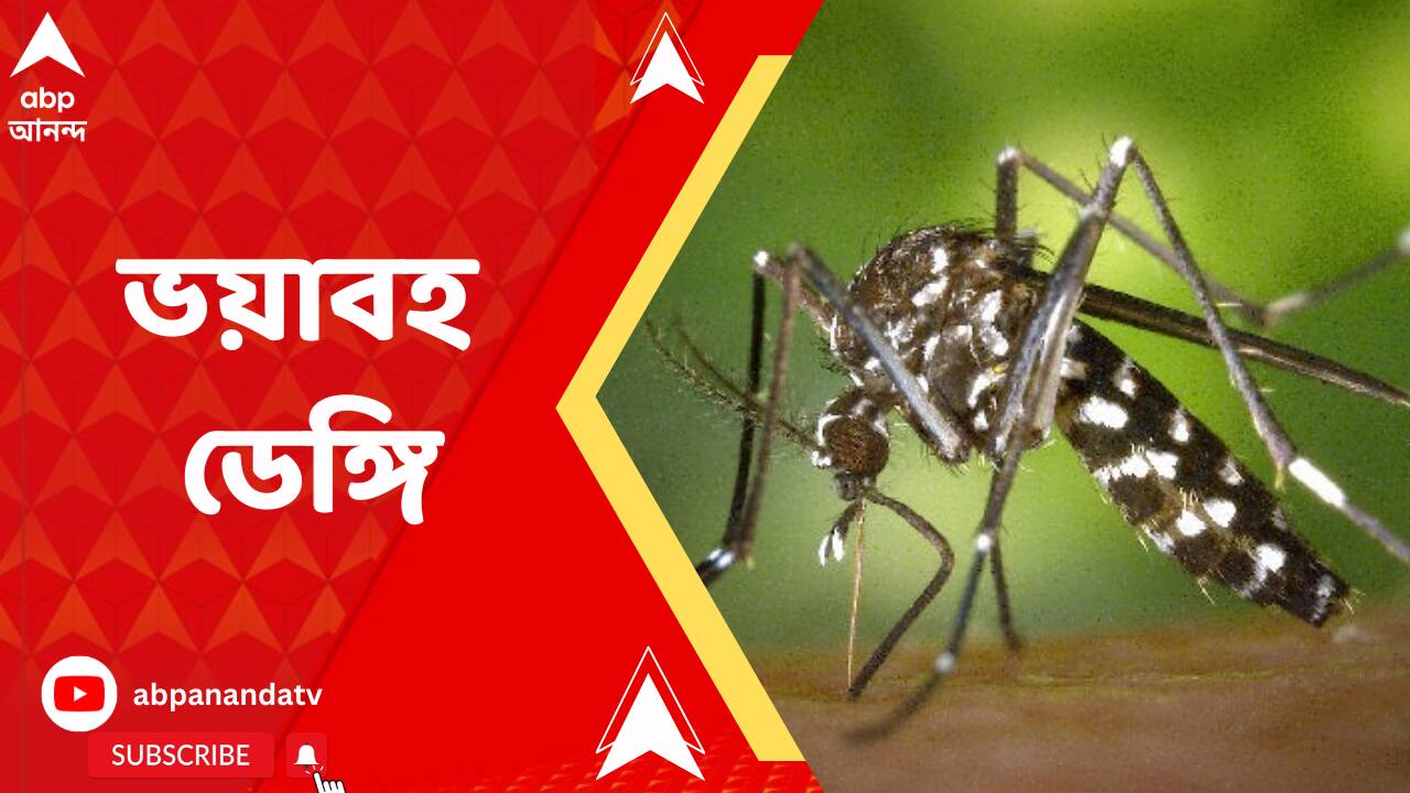 ABP News ABP News