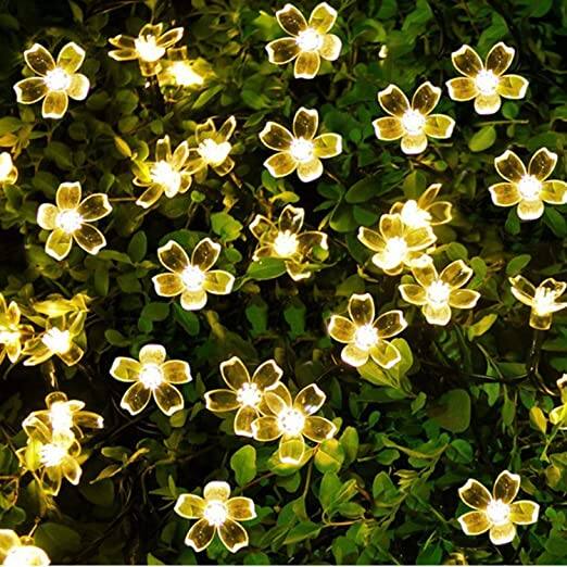 Silicone Blooming Flower Fairy String Lights: अगर आप अपने डेकोरेशन को थोड़ा क्लासी बनाना चाहते है तो इन फूल के आकार के साथ आने वाले फेरी लाइट के बारे में विचार कर सकते हैं. ये 12 मीटर लंबी है और इसमें 42 LED लाइट्स दी गई है. इन स्ट्रींग को आप अमेजन से 339 रुपये में खरीद सकते है.
