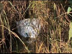 Crime News: స్థానికులను భయపెట్టిన మూట, ఒక్కసారిగా ఏం జరిగిందంటే?