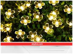 Diwali 2022 : इन सुंदर लाइट्स से अपने घर को जगमगाएं, कीमत है 500 से भी कम